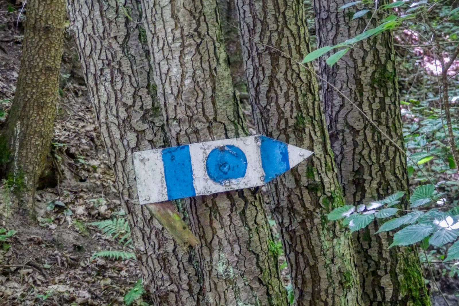 Abenteuerliche Wanderung zur Ruine Schimmelsprung Abenteuerliche Wanderung zur Ruine Schimmelsprung