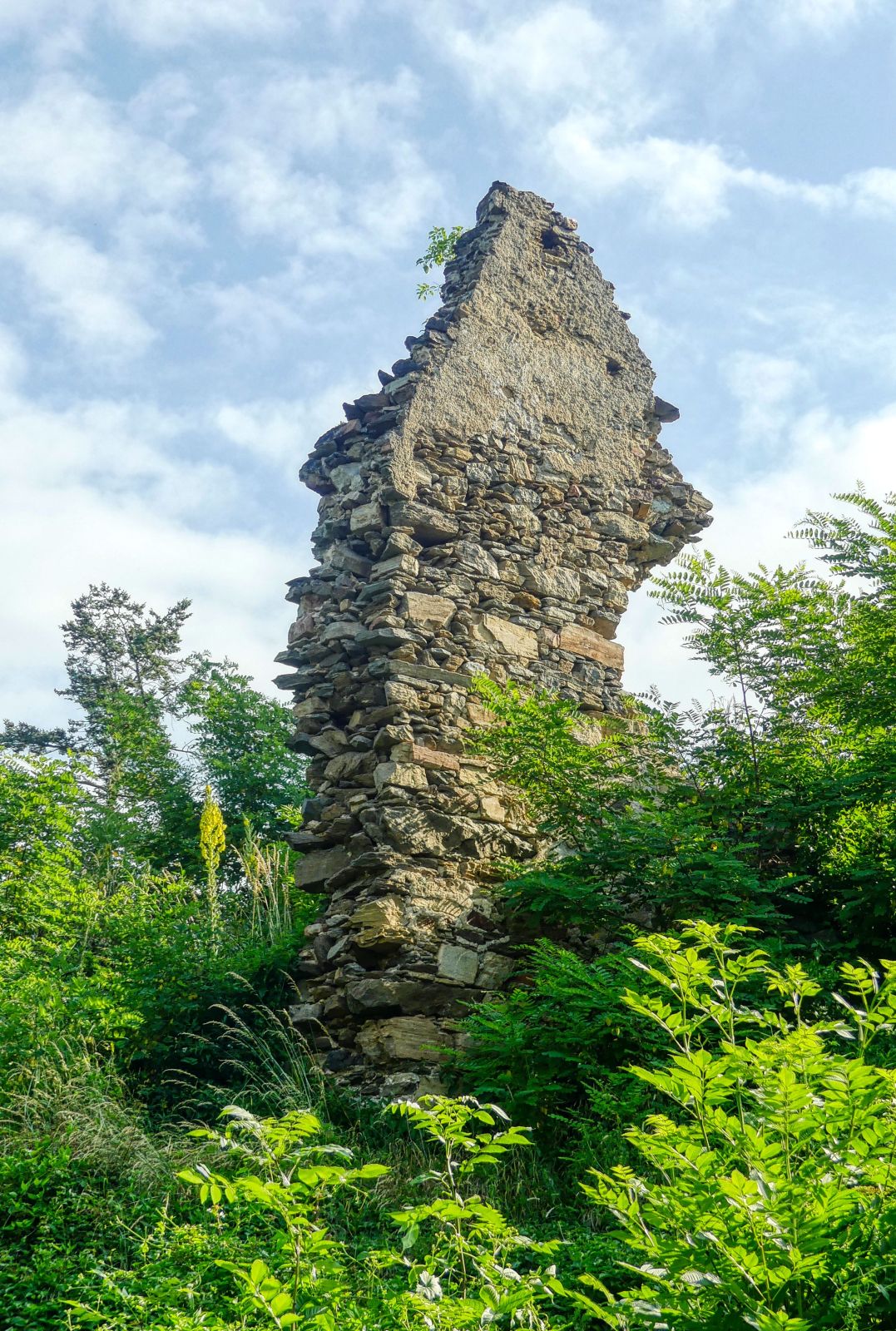Morgenwanderung zur Schonenburg Morgenwanderung zur Schonenburg