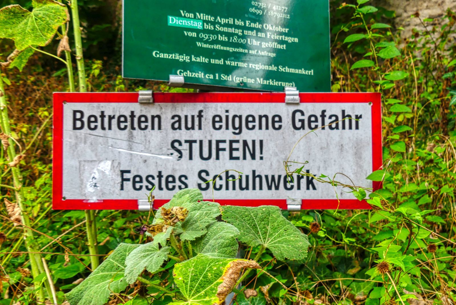 Wanderung zur Ruine Dürnstein - mit vielen Panorama-Fotos! Wanderung zur Ruine Dürnstein - mit vielen Panorama-Fotos!