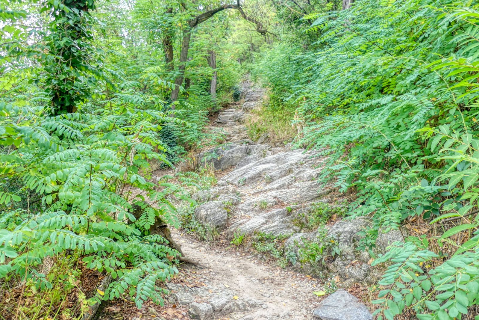 Wanderung zur Ruine Dürnstein - mit vielen Panorama-Fotos! Wanderung zur Ruine Dürnstein - mit vielen Panorama-Fotos!