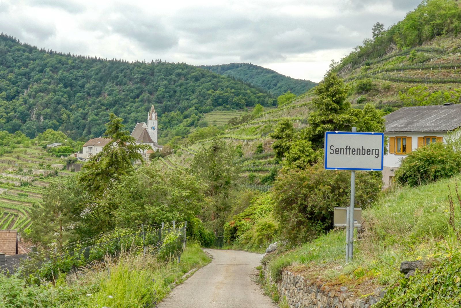 Senftenberg