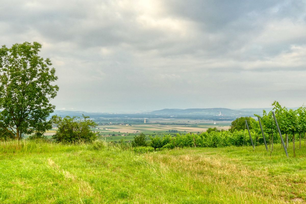 Wanderung auf den Hengstberg bei Gösing am Wagram