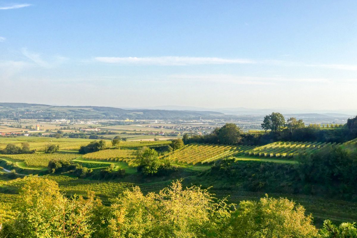 Von Wagram ob der Traisen übers Loamstückl zum Traisentalblick