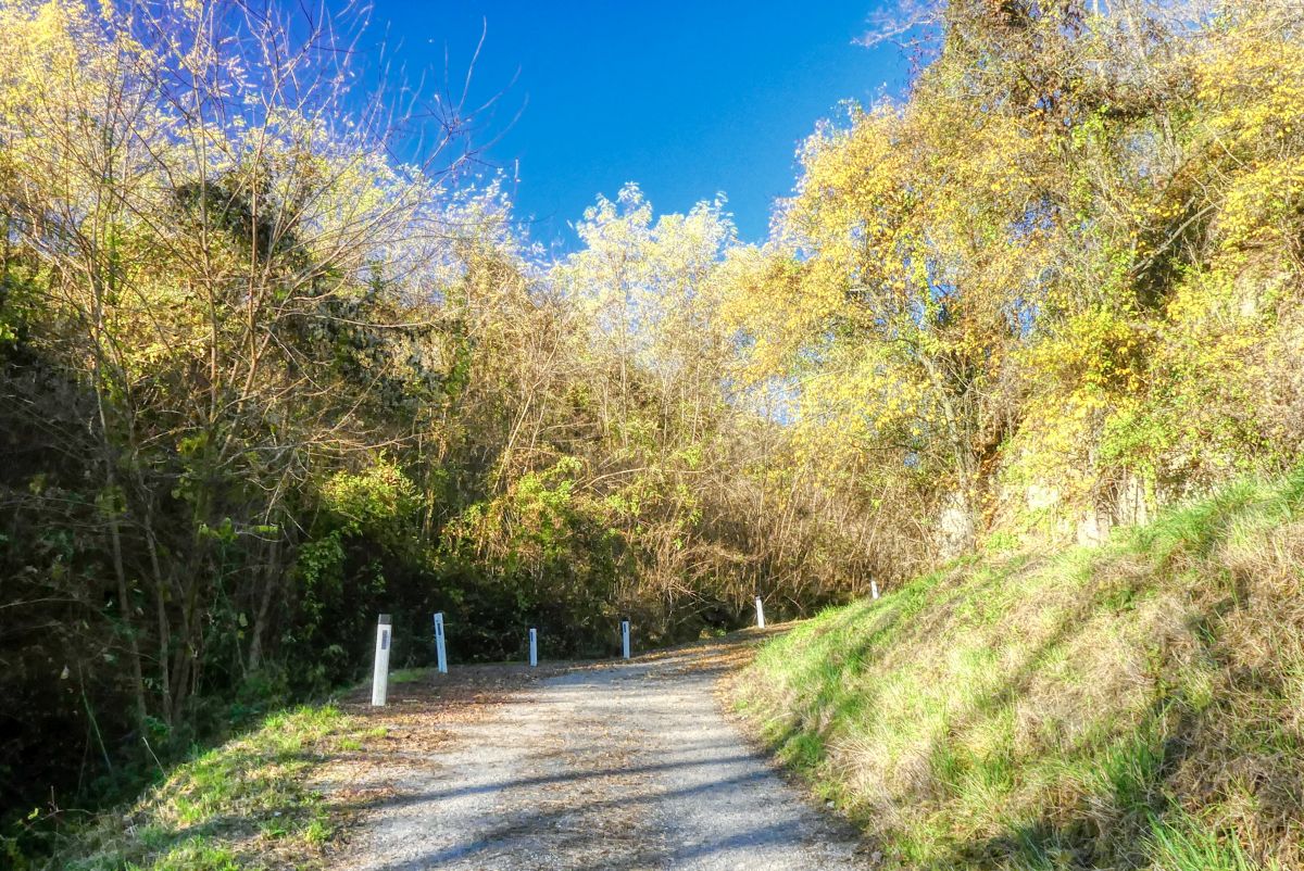 Rosshimmel-Runde