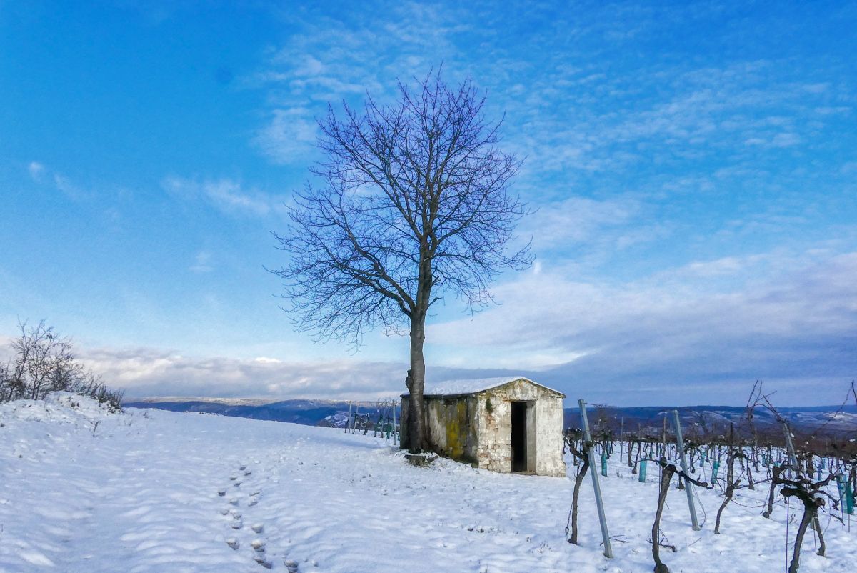 Rundwanderung über den Schilterner Berg