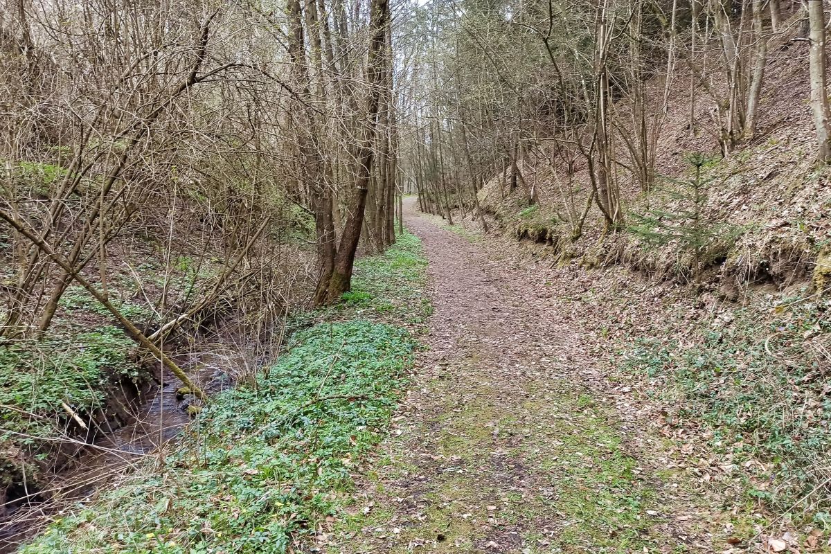 Der Lengenfelder Feen-Waldweg