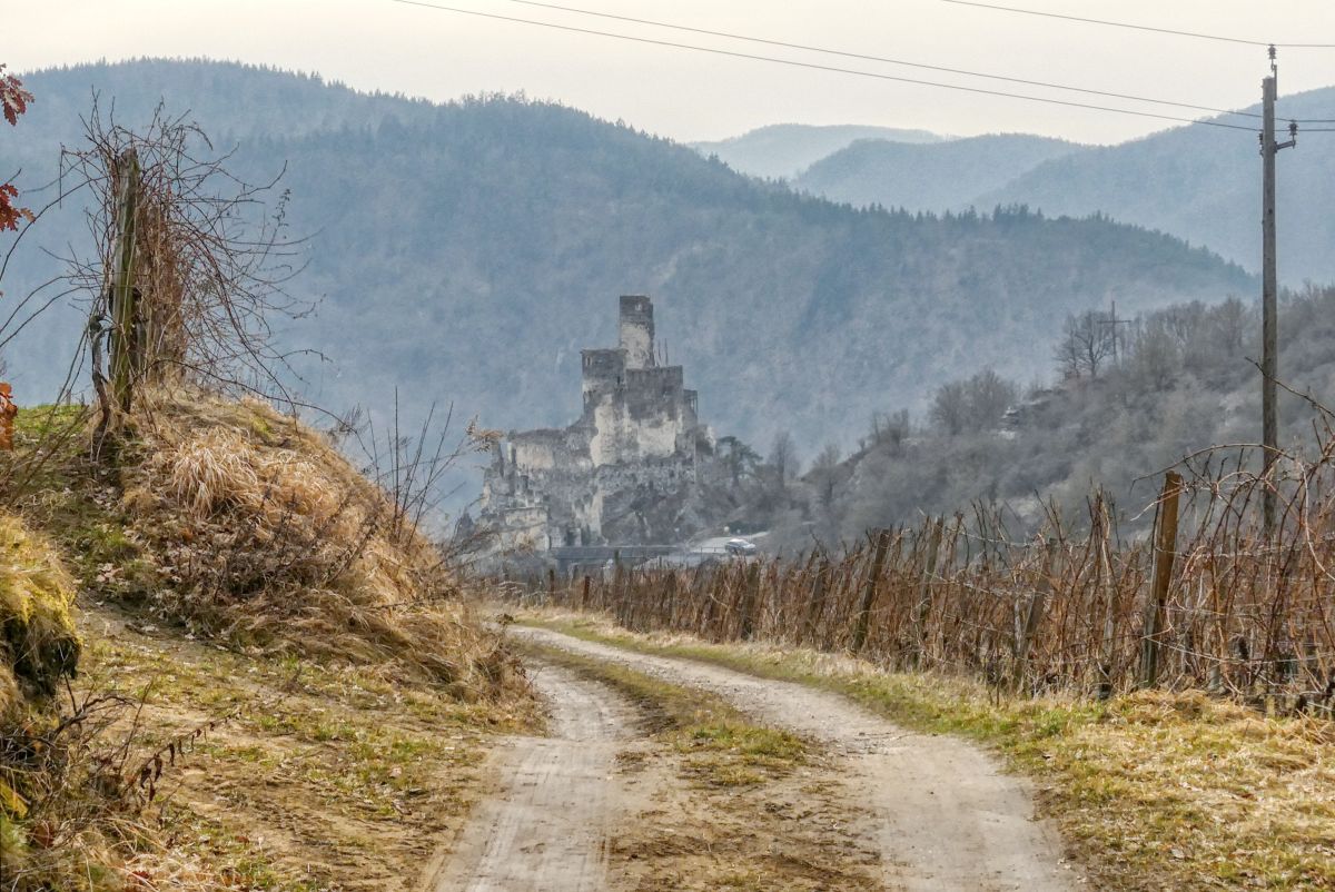 Senftenberger Wanderweg Nr. 12: Weinwanderweg