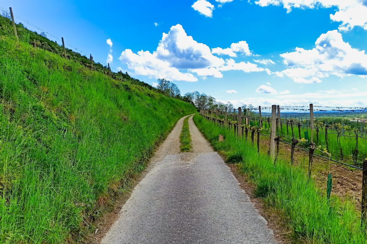 HEILIG.STEIN.ROUTE