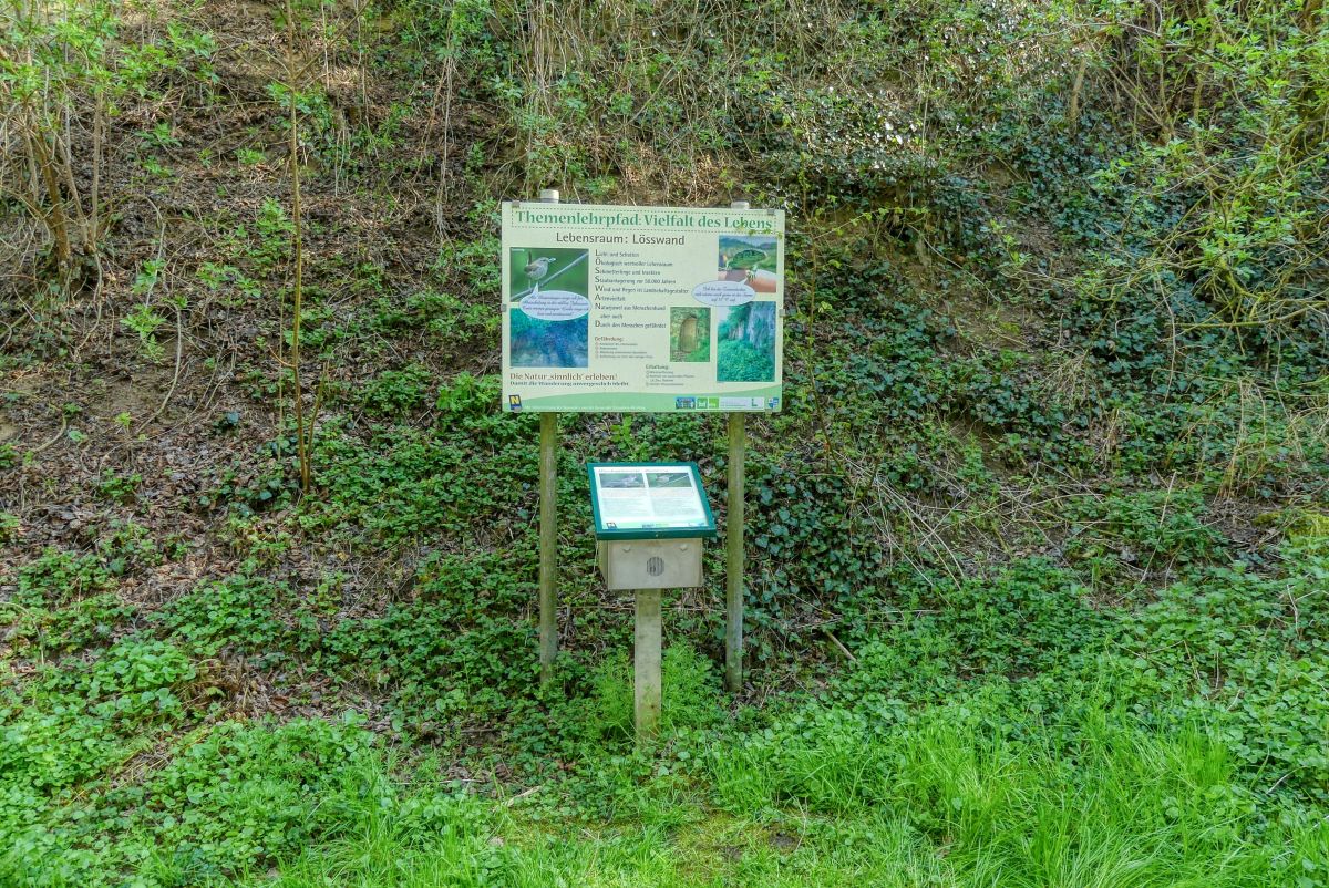 Themenlehrpfad Biodiversität - "Die Vielfalt des Lebens"