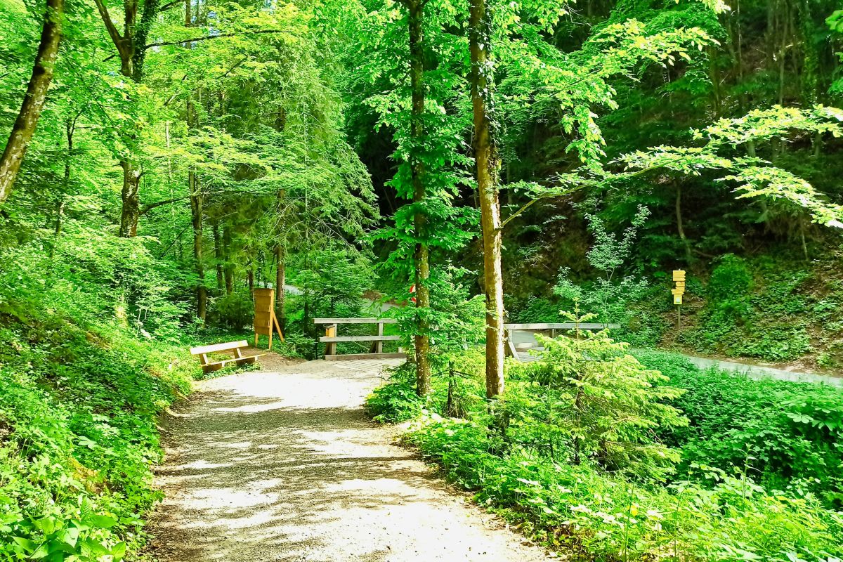 Wassergeistweg