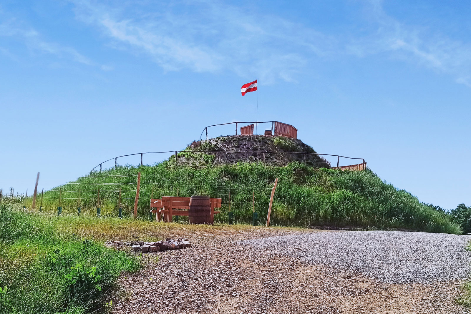 Von Krustetten zur Weinbergschnecke