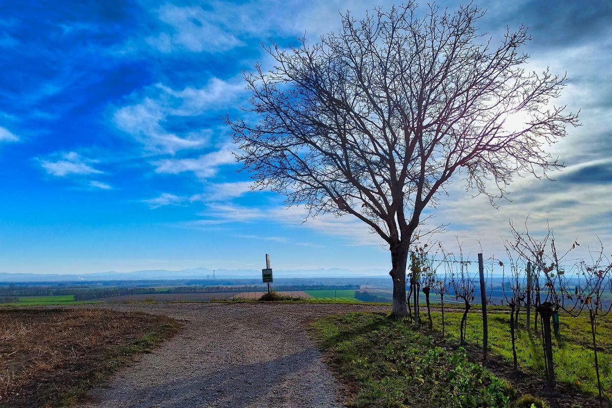Von Königsbrunn zum Wagramblick