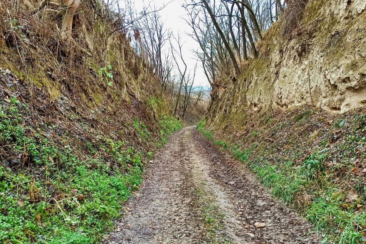 1. Europäischer Hohlweg Lehrpfad