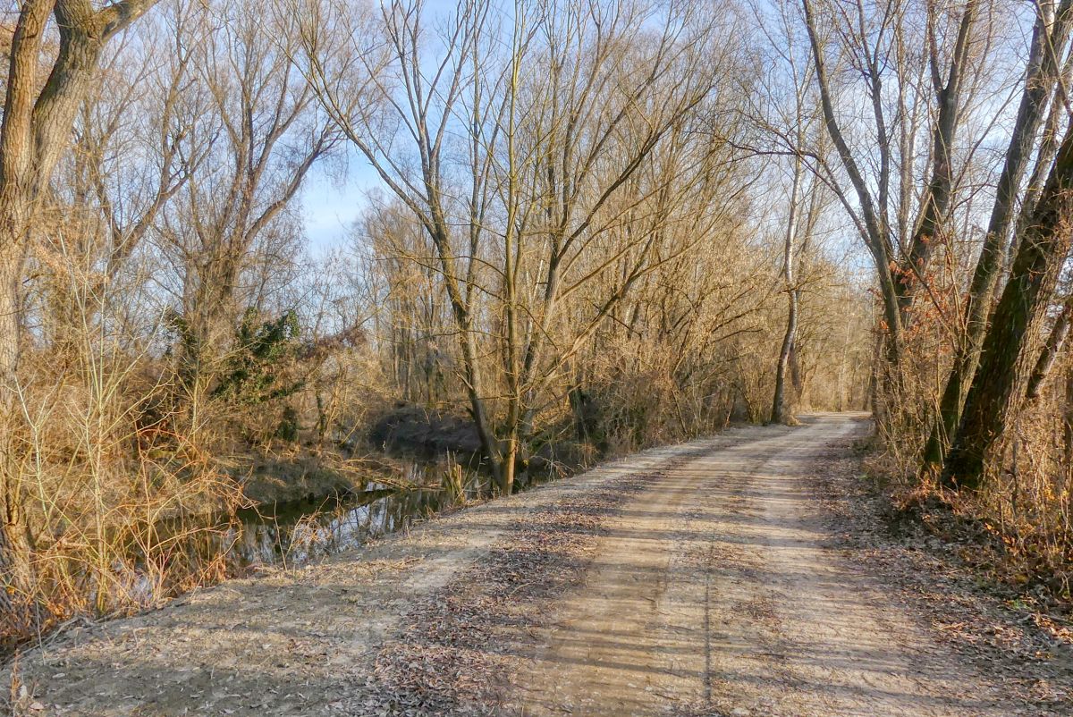 Der Mühlwasser-Kopfweidenweg in Altenwörth (ehem. Gartenschauweg 6c)