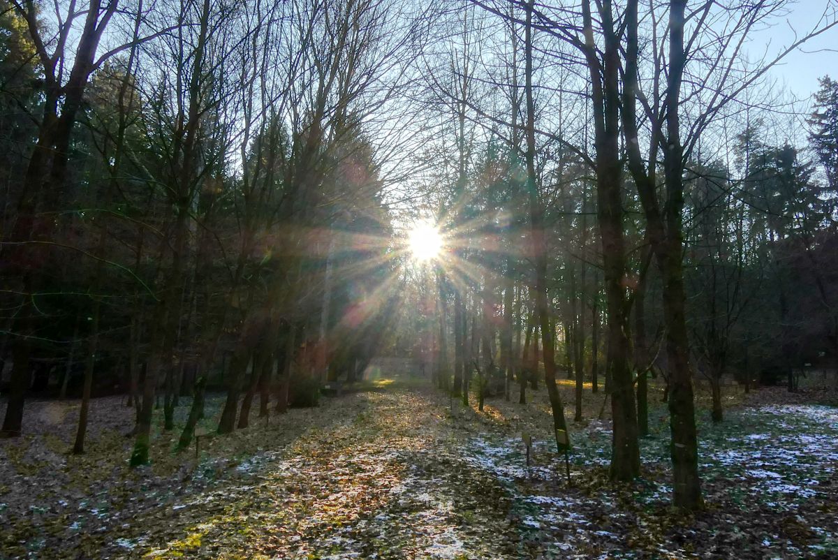Kleine Runde von Karlstetten über den Waldlehrpfad Heitzing