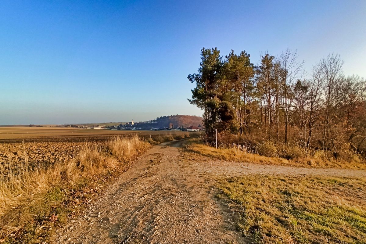 Der Jungbrunnwiesenweg in Zemling