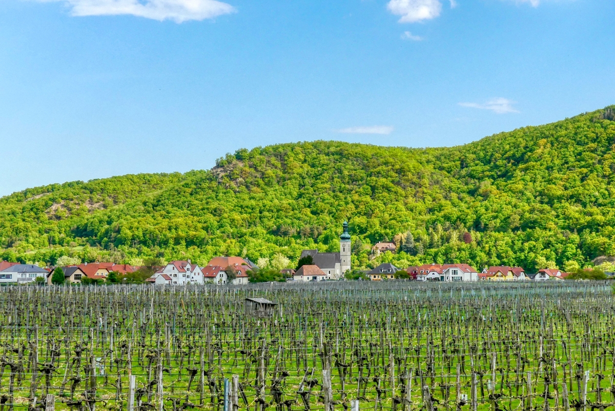 Top Tours Dürnstein - E - Wein-Tour Loiben