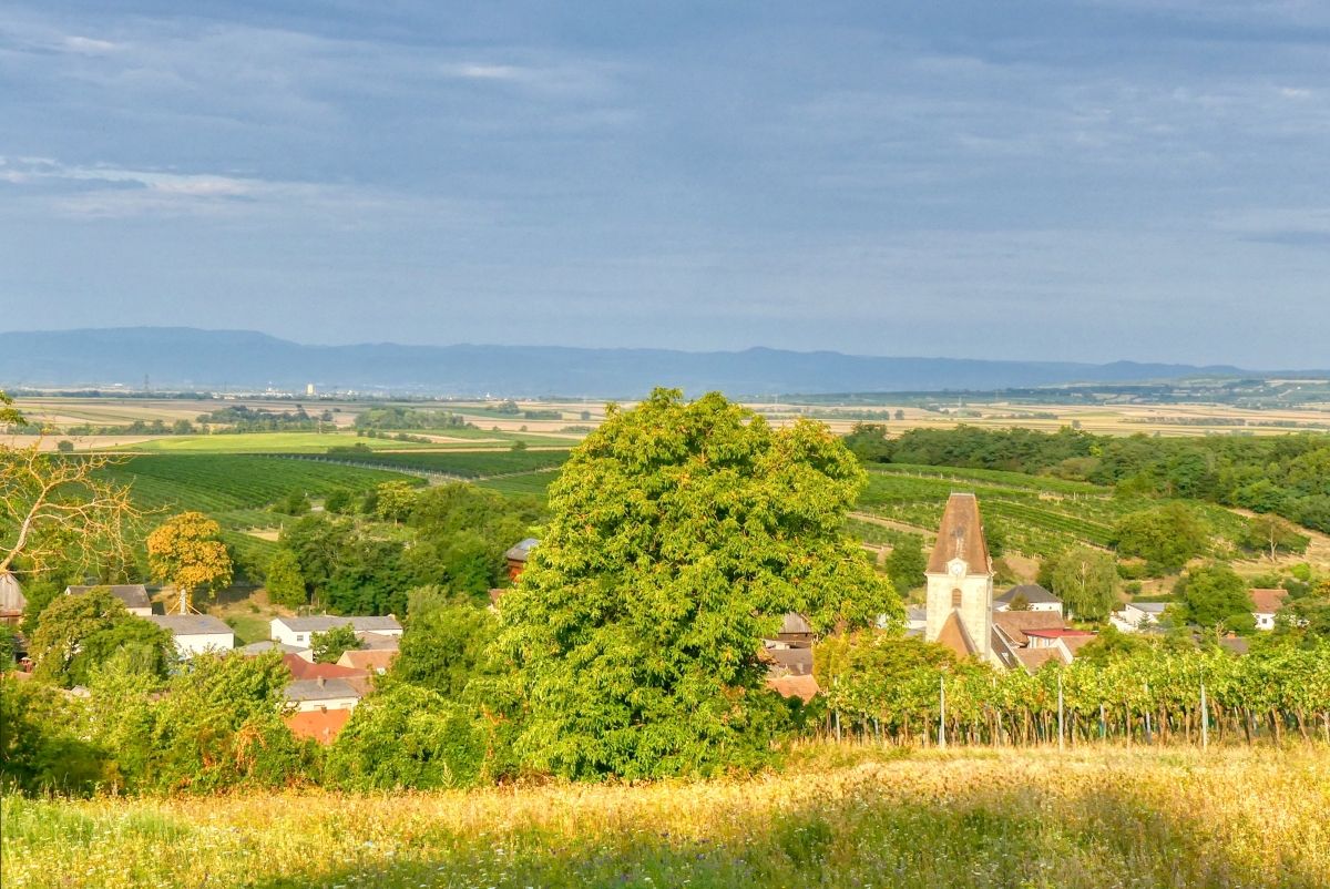 "tut gut" Wanderweg Großweikersdorf - Route 1: Ruppersthaler Wanderweg