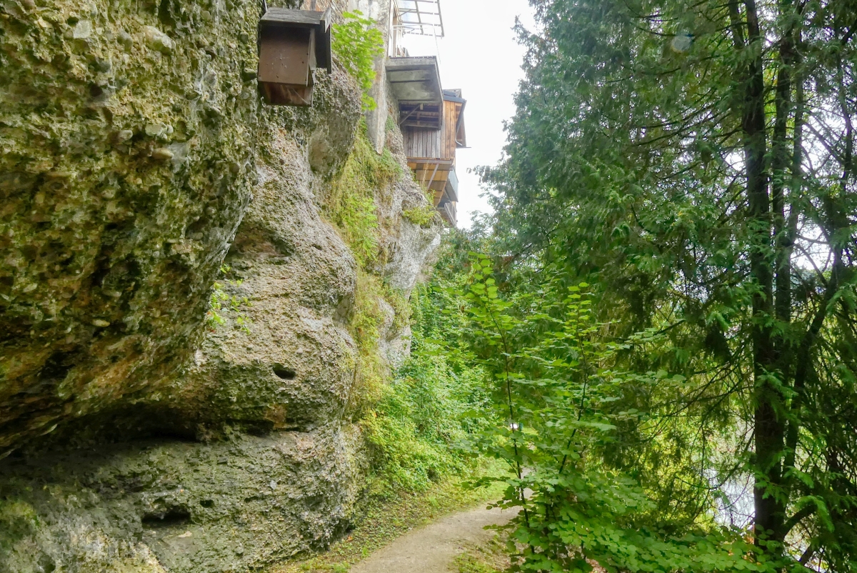 Ybbsuferweg Der Ybbsuferweg in Waidhofen an der Ybbs - eine andere Welt, 10 Meter neben der Hauptstraße