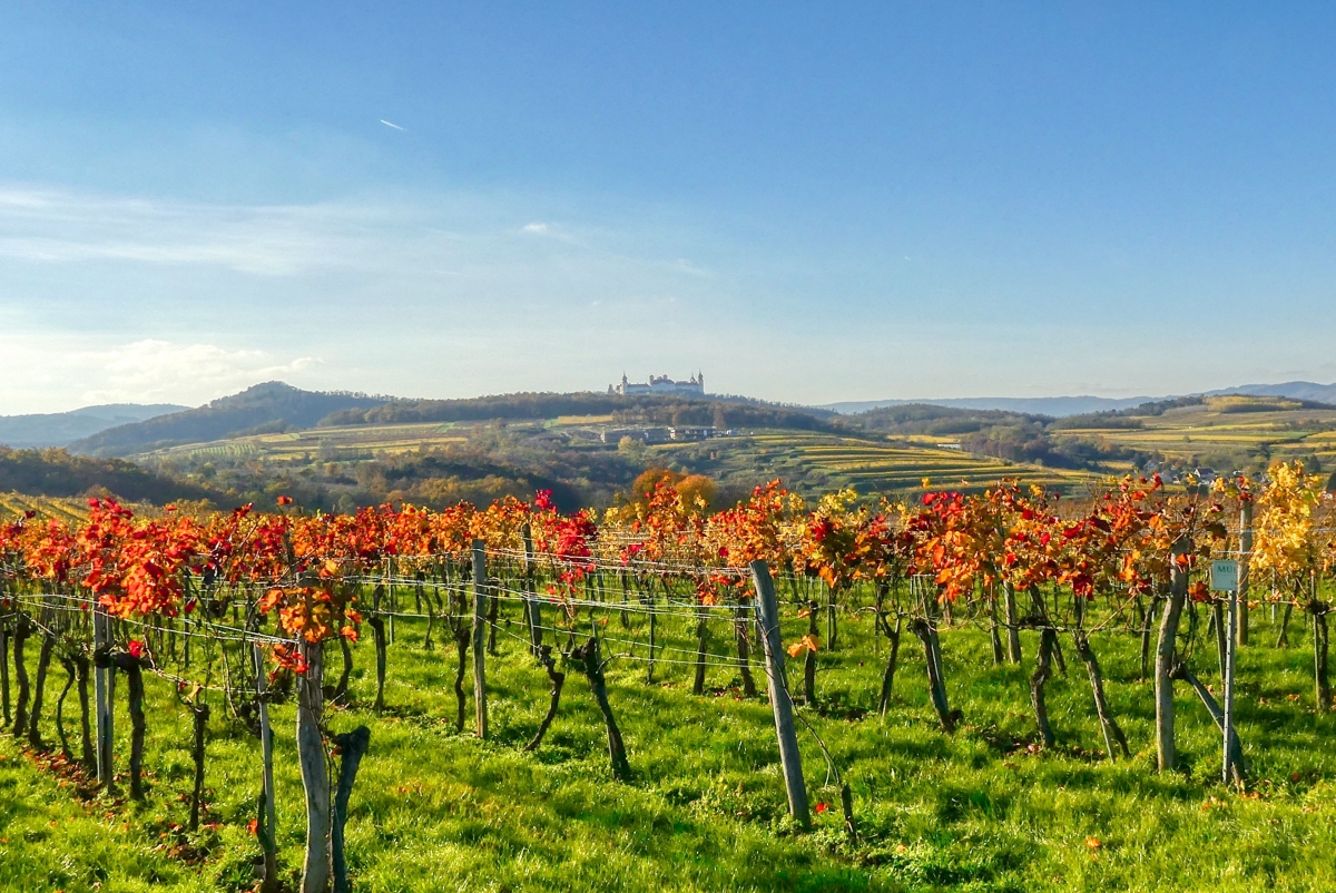 Wanderweg Furth F4: Krustetten