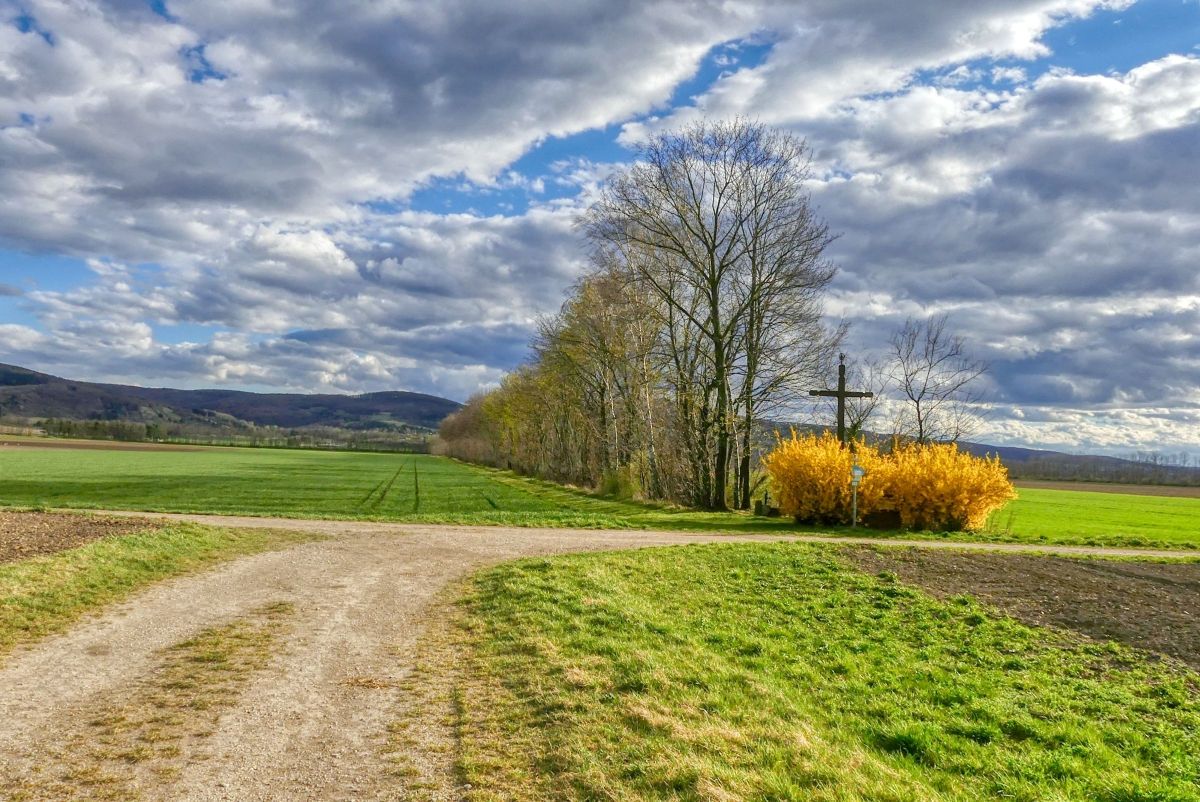 Der "Tut gut!"-Schritteweg "Gesundes Muckendorf-Wipfing" - Wipfinger Runde
