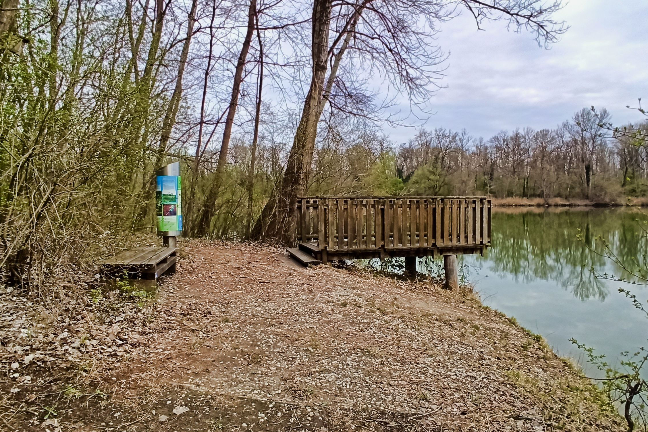 Antenne Flusslandschaft Murauen in Bad Radkersburg