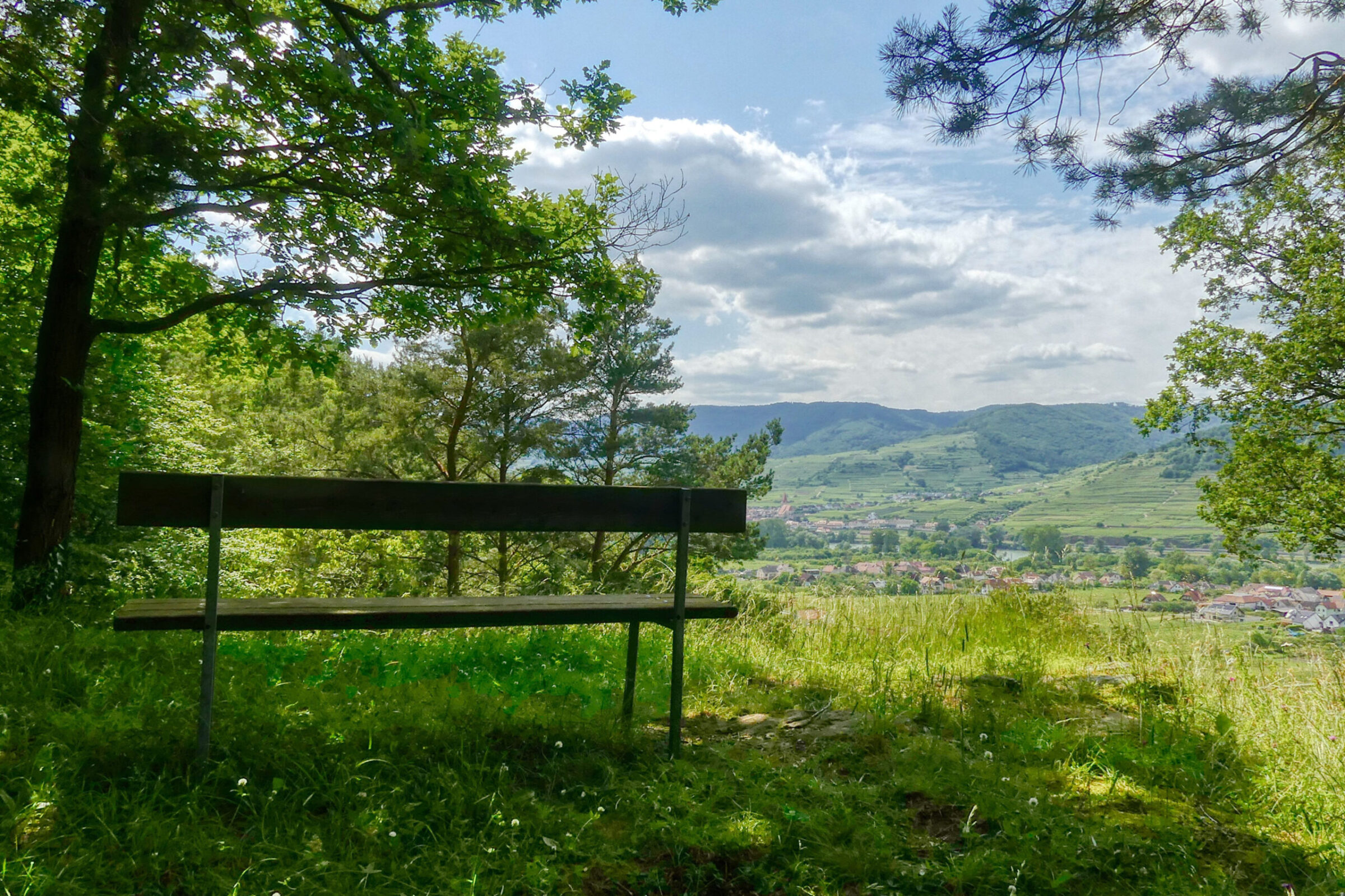 Der Jankerlweg in Rossatz