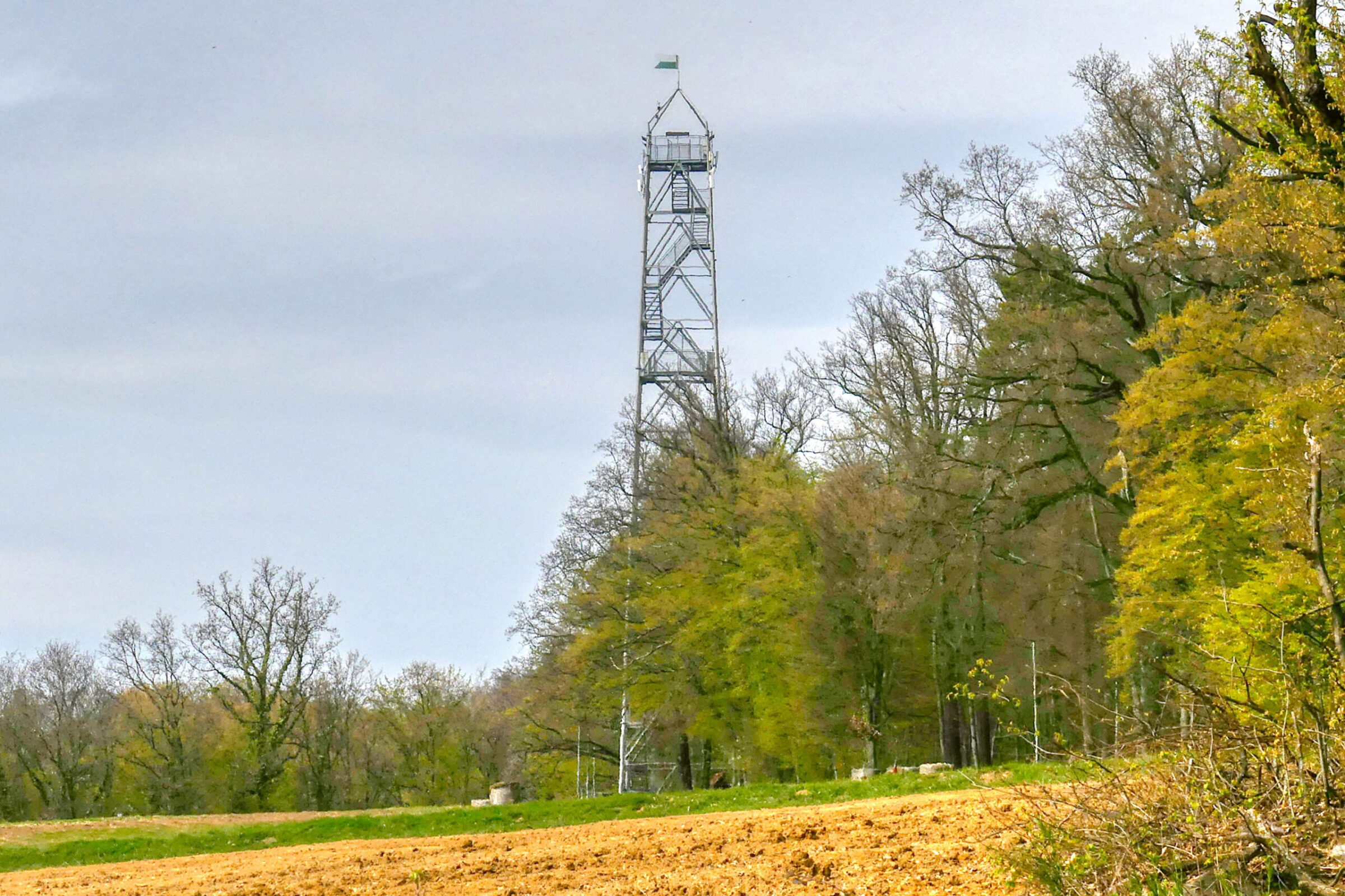 Von Frutten über den Rosenberg zur Vulkanland-Aussichtswarte