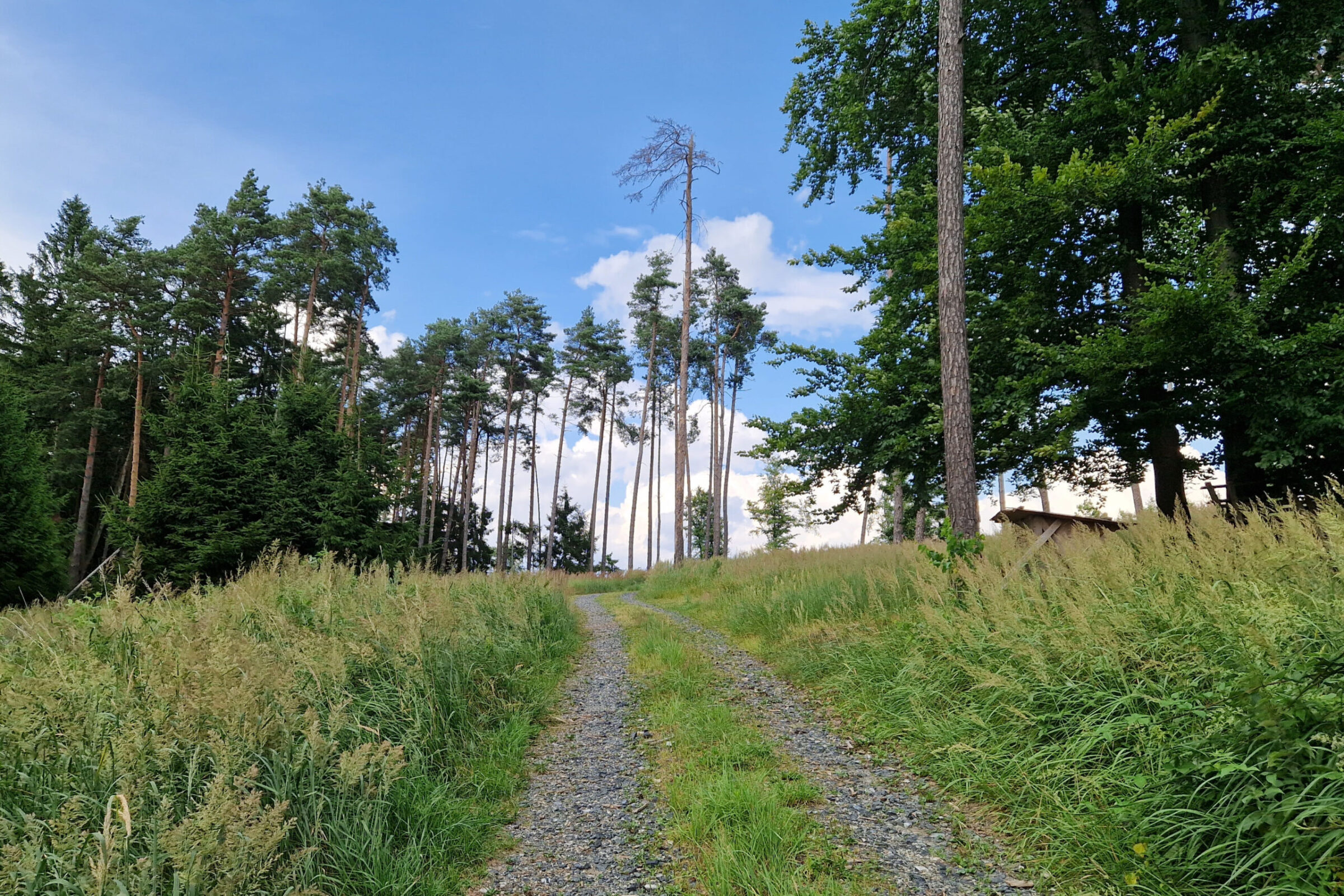 Von Oberbergern auf den Bolzenberg