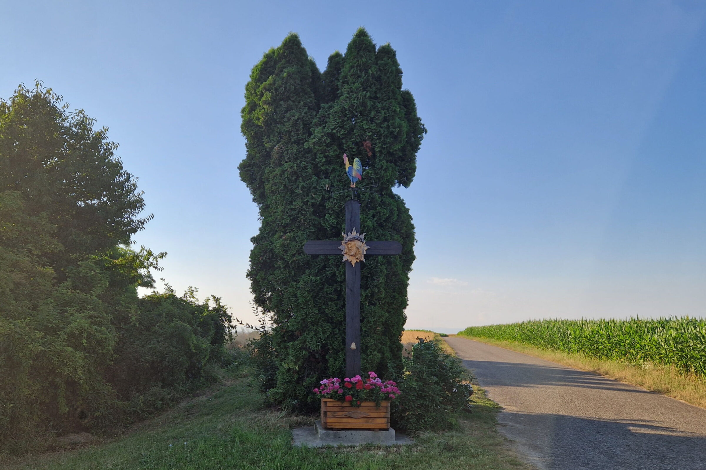 Eine Rundwanderung in Großwiesendorf