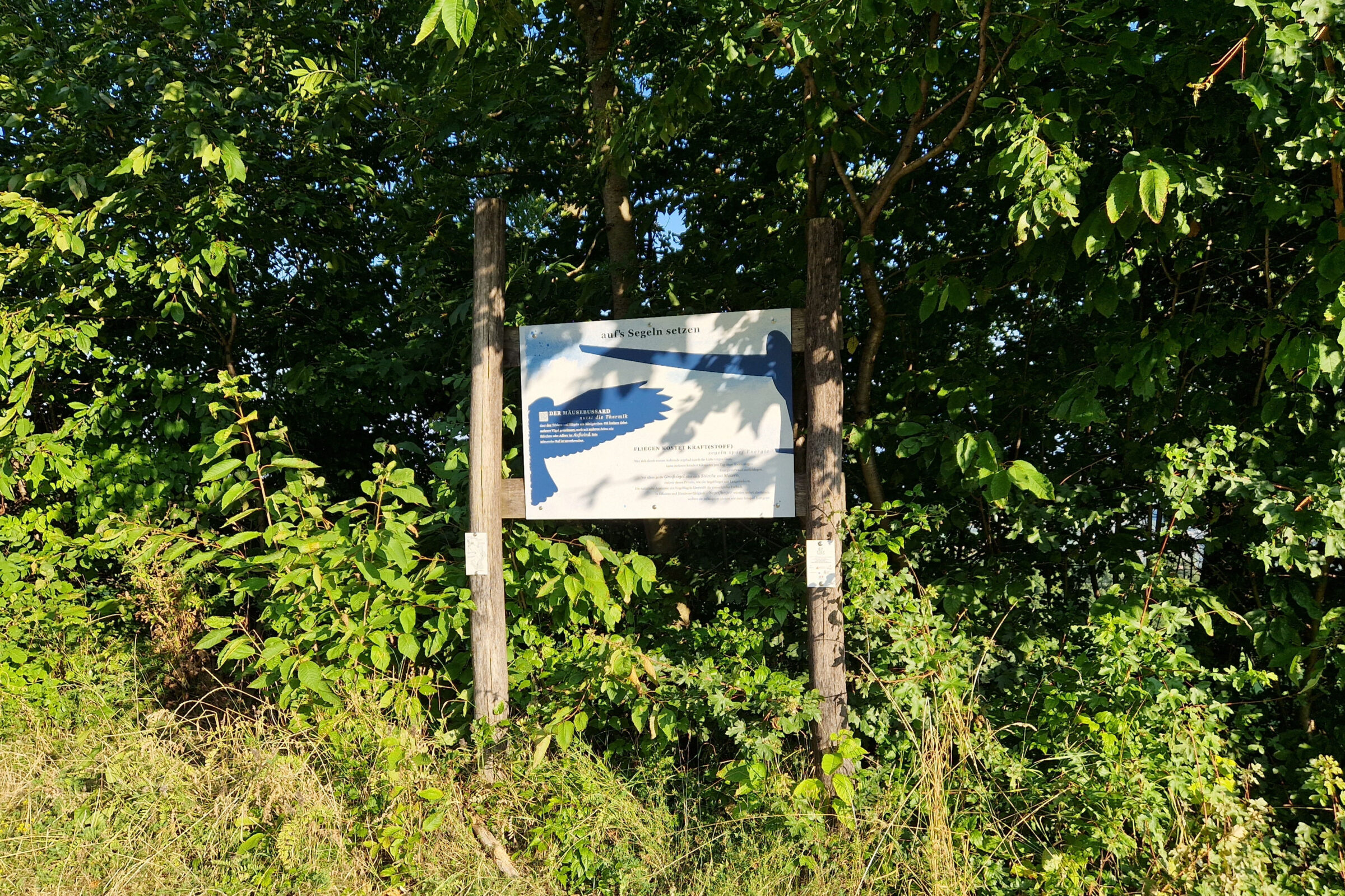 Die Vogelrunde in Königstetten