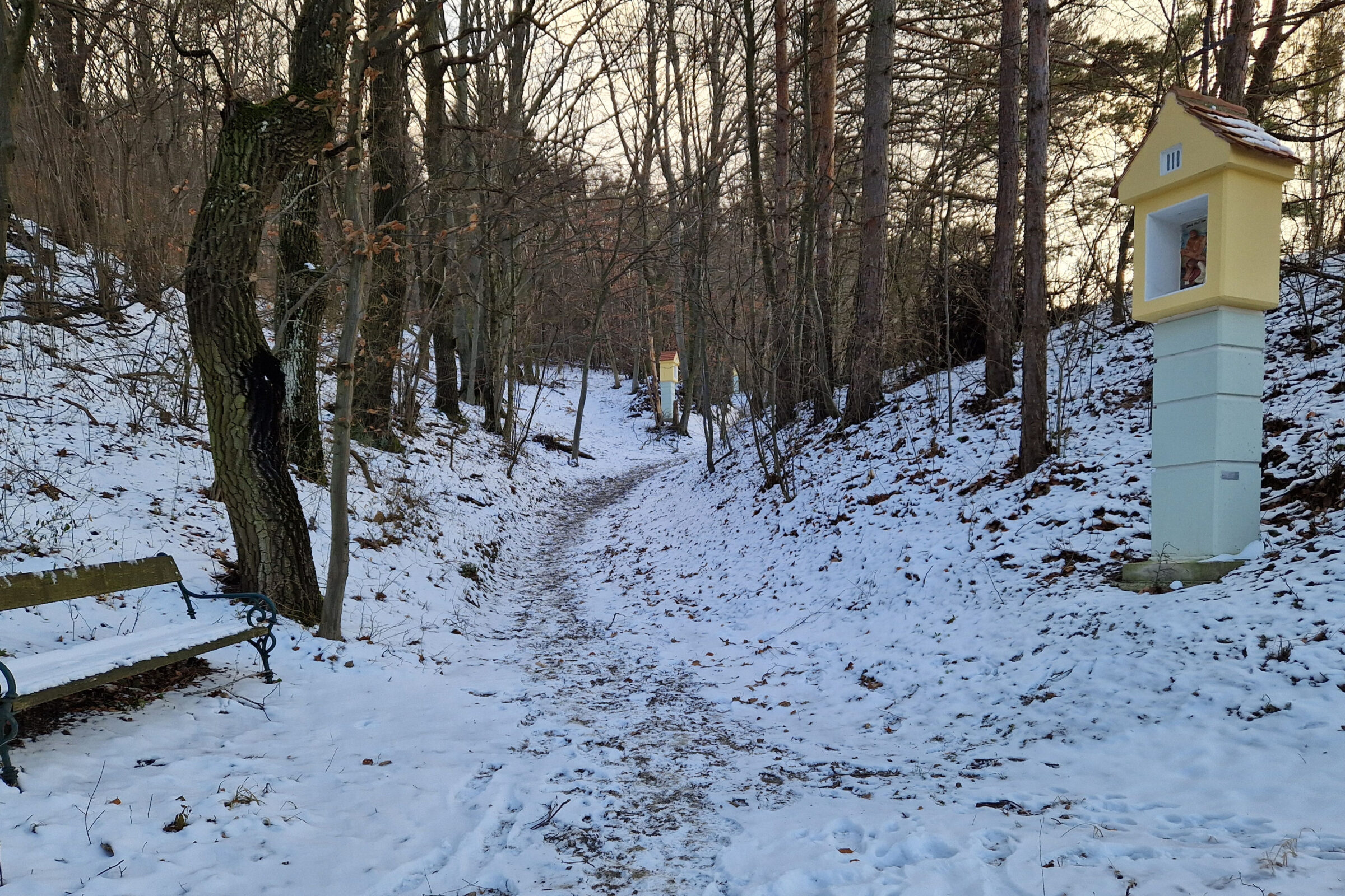 Von Freundorf über den Kreuzweg zur Bildereiche auf dem Auberg und über den Jesusweg zurück