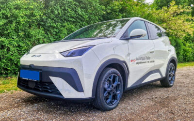 BYD Dolphin Surf – das Auto, auf das alle gewartet haben (Kurztest)