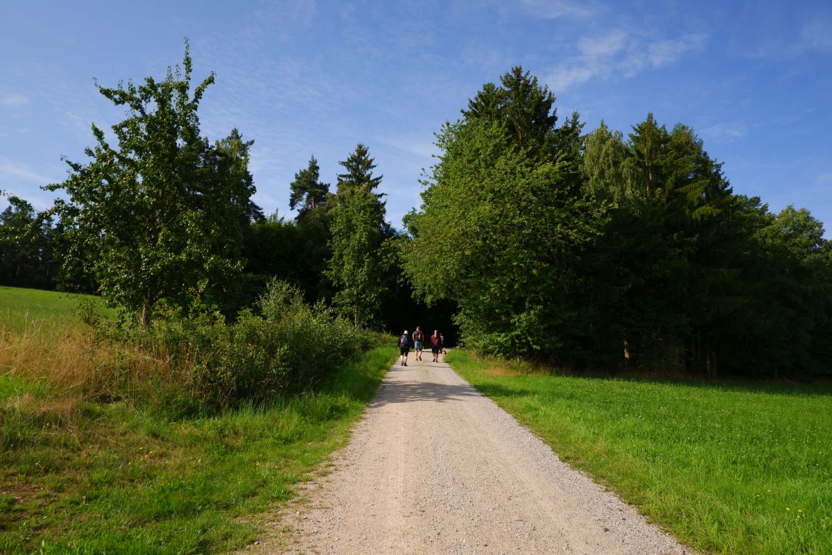 Der Hirschbergweg in Fuhrn Der Hirschbergweg in Fuhrn