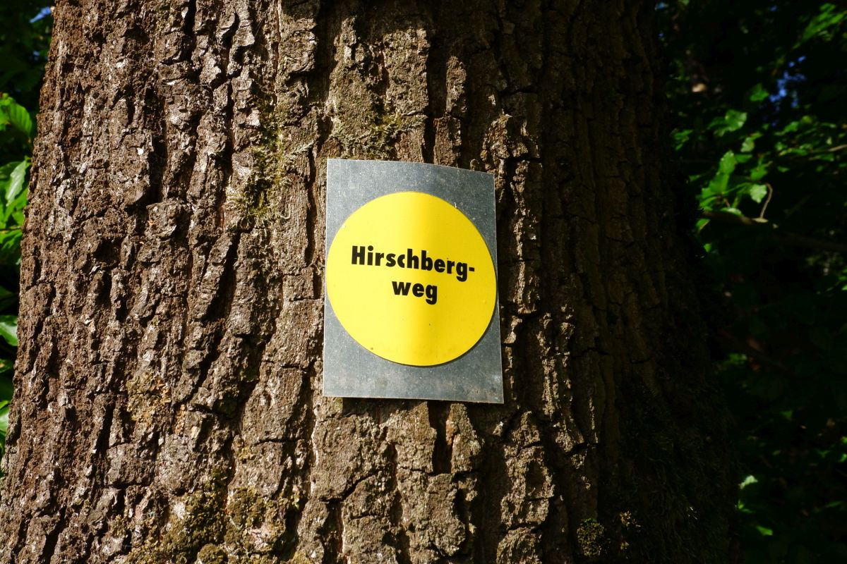 Der Hirschbergweg in Fuhrn Der Hirschbergweg in Fuhrn