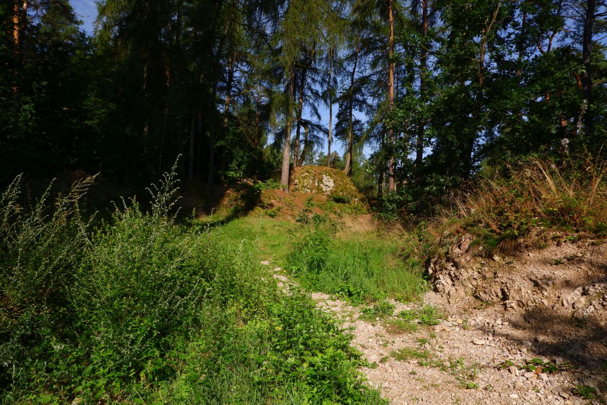 Der Hirschbergweg in Fuhrn Der Hirschbergweg in Fuhrn
