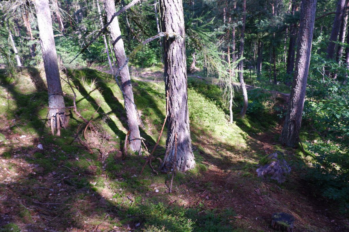 Der Hirschbergweg in Fuhrn Der Hirschbergweg in Fuhrn