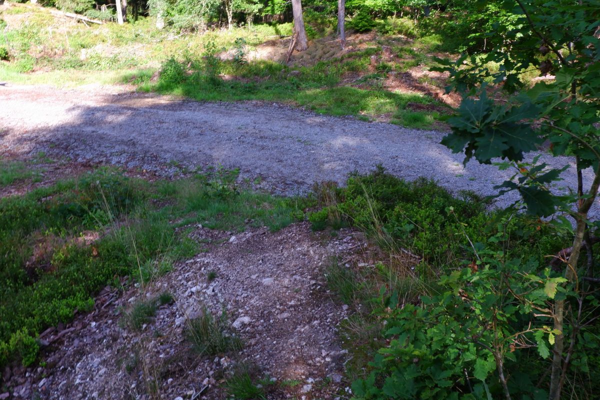 Der Hirschbergweg in Fuhrn Der Hirschbergweg in Fuhrn