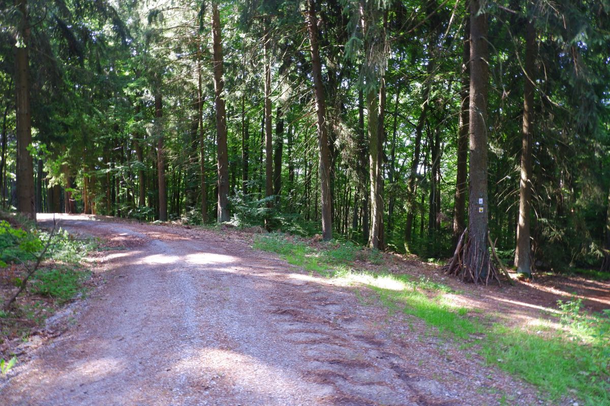 Der Hirschbergweg in Fuhrn Der Hirschbergweg in Fuhrn