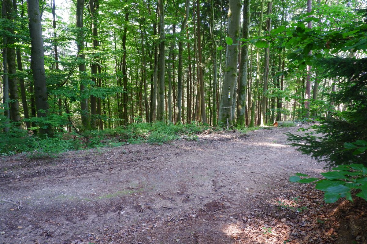 Der Hirschbergweg in Fuhrn Der Hirschbergweg in Fuhrn