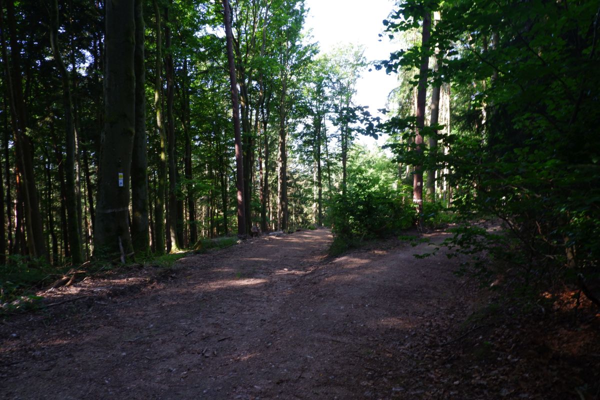 Der Hirschbergweg in Fuhrn Der Hirschbergweg in Fuhrn