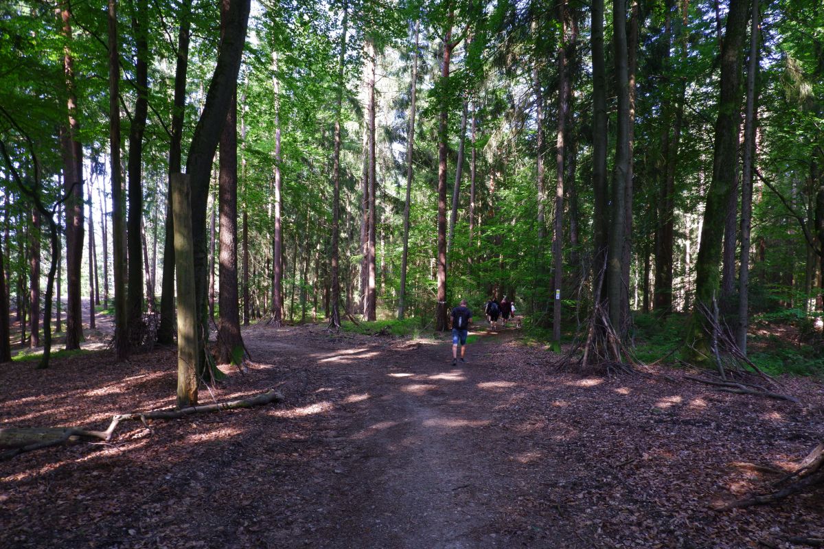 Der Hirschbergweg in Fuhrn Der Hirschbergweg in Fuhrn