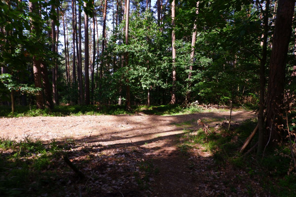 Der Hirschbergweg in Fuhrn Der Hirschbergweg in Fuhrn