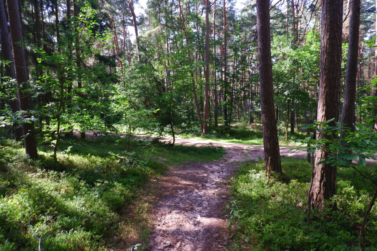 Der Hirschbergweg in Fuhrn Der Hirschbergweg in Fuhrn