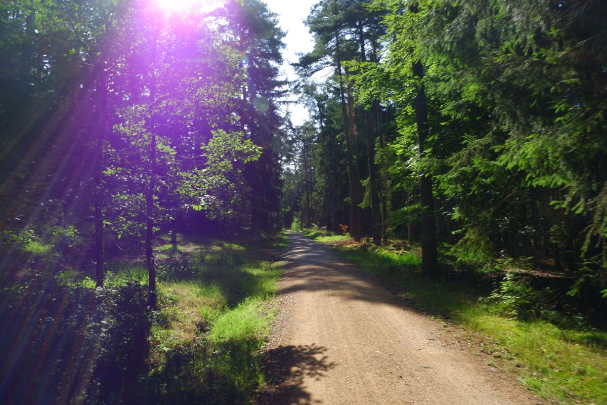 Der Hirschbergweg in Fuhrn Der Hirschbergweg in Fuhrn