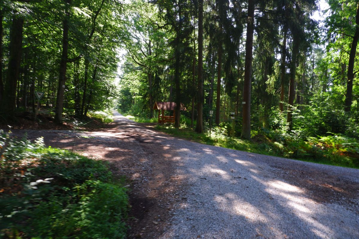 Der Hirschbergweg in Fuhrn Der Hirschbergweg in Fuhrn