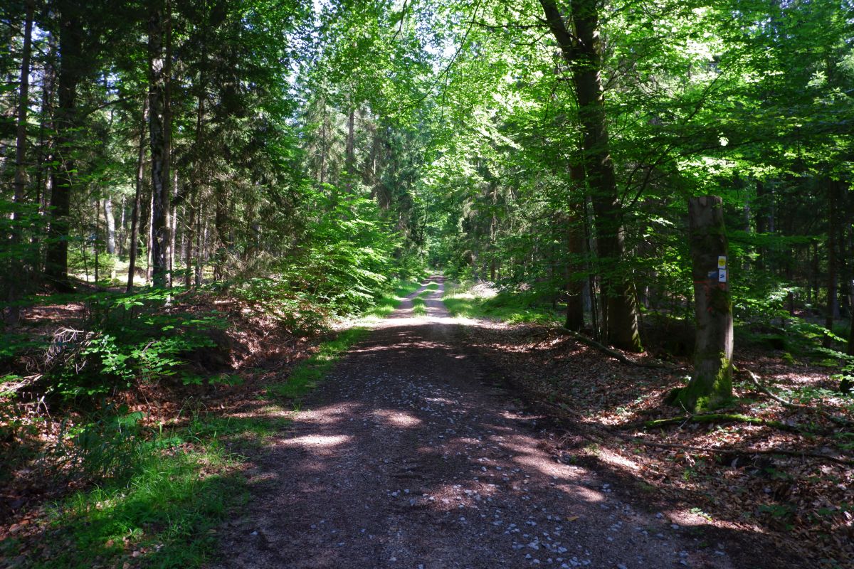 Der Hirschbergweg in Fuhrn Der Hirschbergweg in Fuhrn