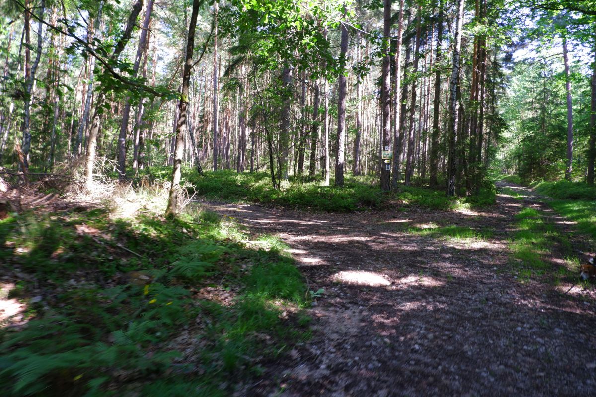Der Hirschbergweg in Fuhrn Der Hirschbergweg in Fuhrn