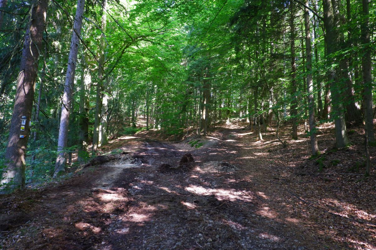 Der Hirschbergweg in Fuhrn Der Hirschbergweg in Fuhrn