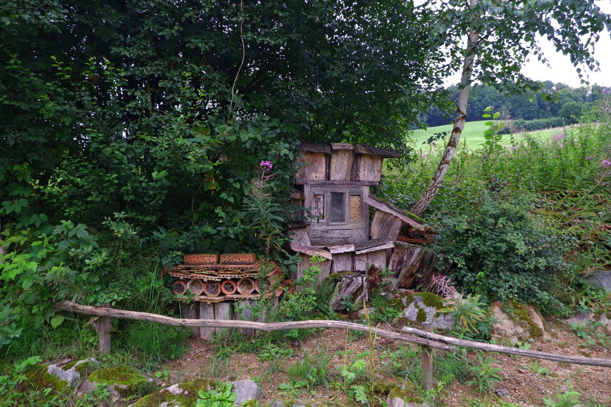 Durch den Wildgarten in Furth im Wald Durch den Wildgarten in Furth im Wald